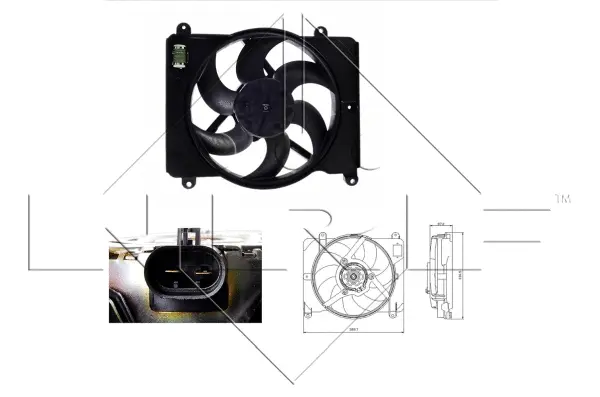 Fan, engine cooling (WG1720228)