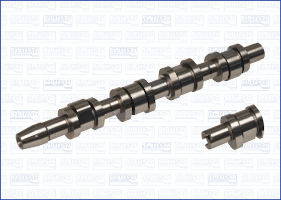Camshaft (WG1456707)