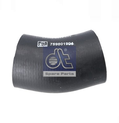 Radiator Hose (WG2312271)