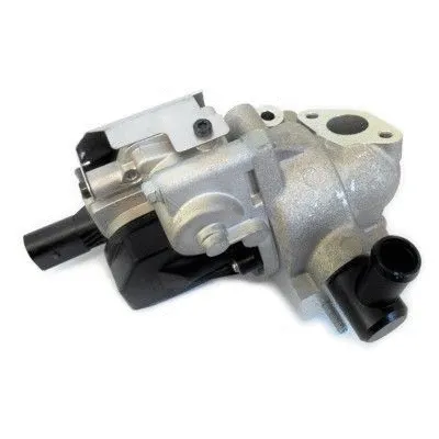 EGR Valve (WG1408751)