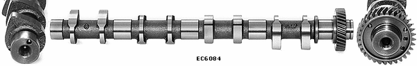 Camshaft (WG1051566)