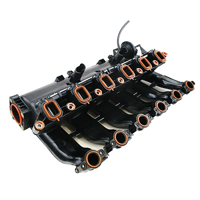 Intake Manifold Module (WG2099634)