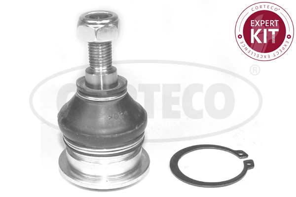 Ball Joint (WG2288329)