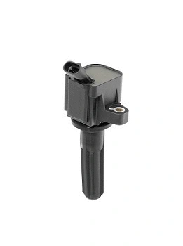 Ignition Coil (WG1487597)