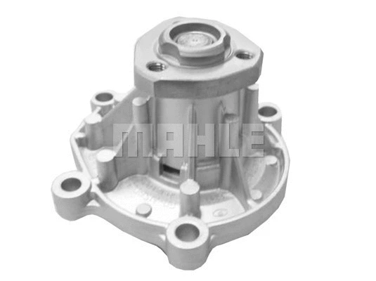 Water Pump, engine cooling (WG2181510)
