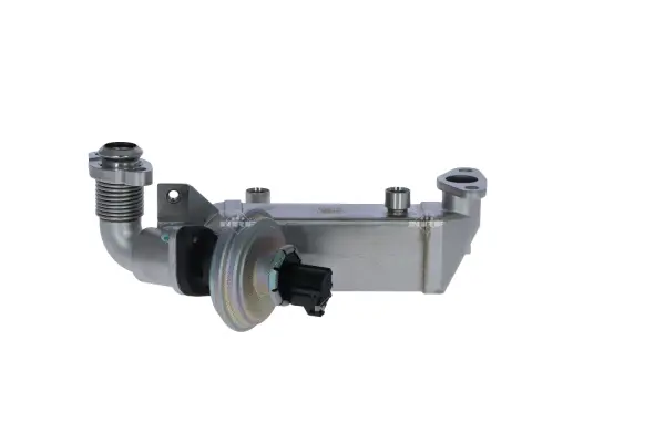 EGR Valve (WG2161839)