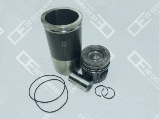 Repair Set, piston/sleeve (WG1485155)