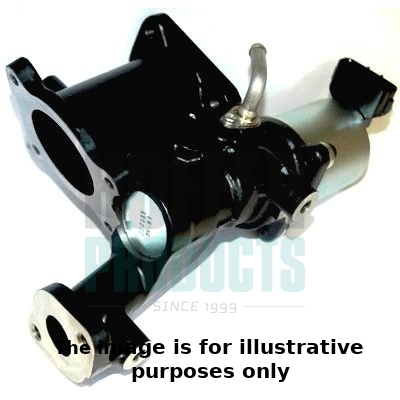 EGR Valve (WG1966144)