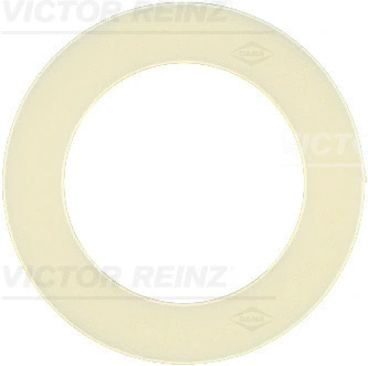 Seal Ring, oil drain plug (WG1245903)