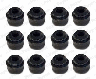 Seal Set, valve stem (WG1181297)