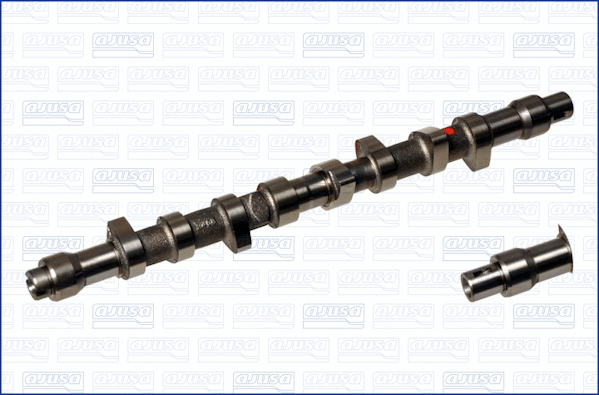 Camshaft (WG1171380)