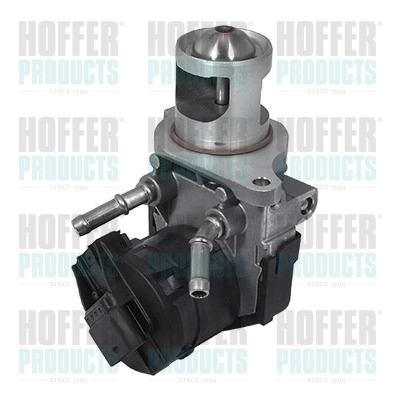 EGR Valve (WG1408728)