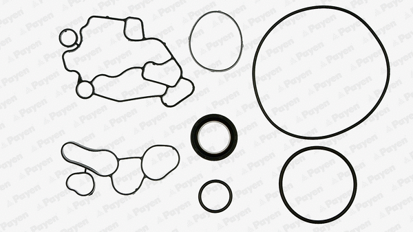 Gasket Kit, crankcase (WG1180048)