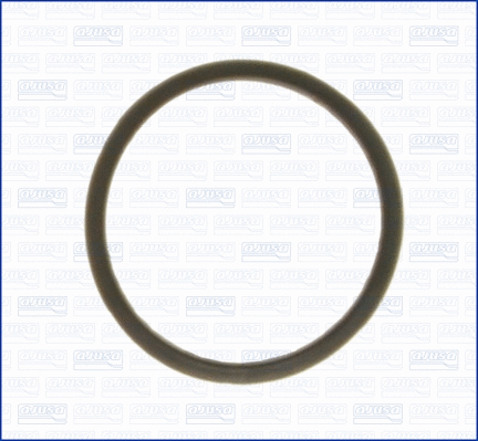 Seal, thermostat (WG1751202)