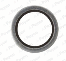 Seal Ring, oil drain plug (WG1939332)
