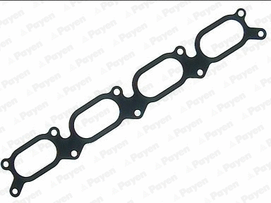 Gasket, intake manifold (WG1177134)