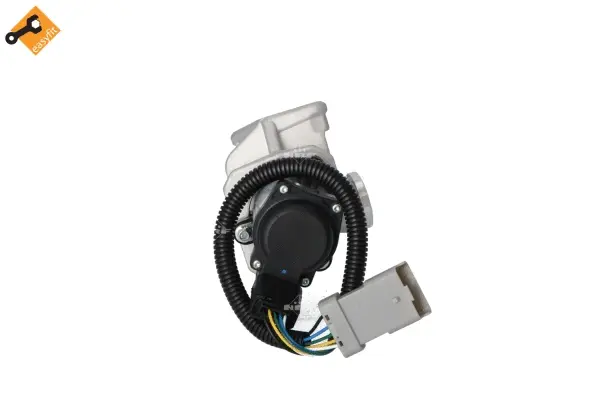 EGR Valve