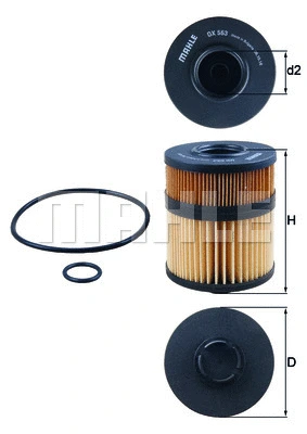 Oil Filter (WG1217452)
