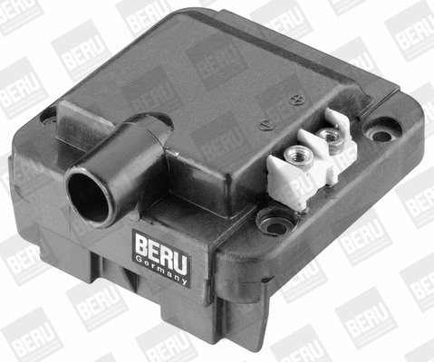 Ignition Coil (WG1487358)