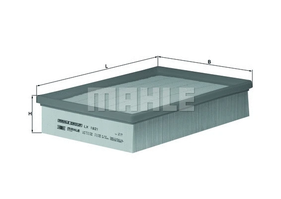 Air Filter (WG1216085)