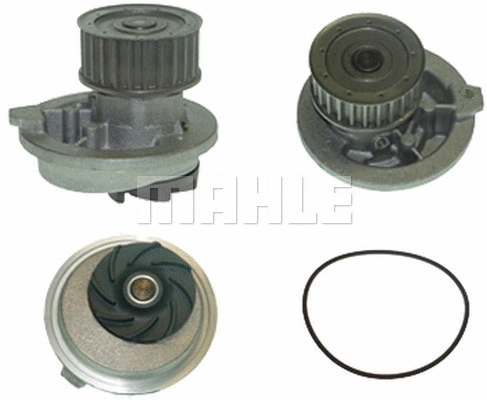 Water Pump, engine cooling (WG2181459)