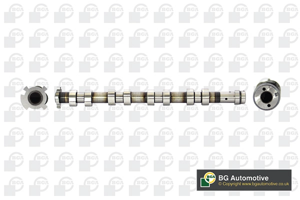 Camshaft (WG1814307)