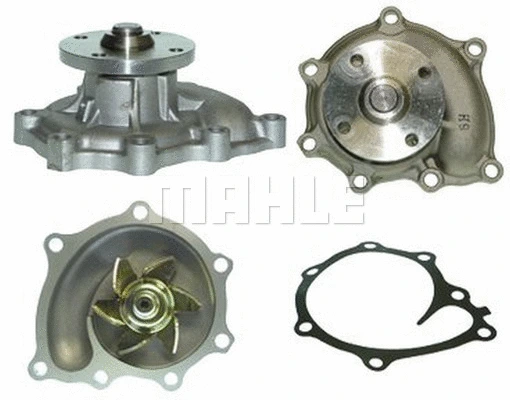 Water Pump, engine cooling (WG2181501)