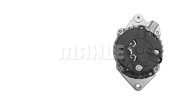Alternator (WG2043733)