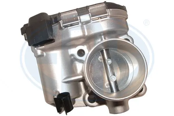 Throttle Body (WG1796567)