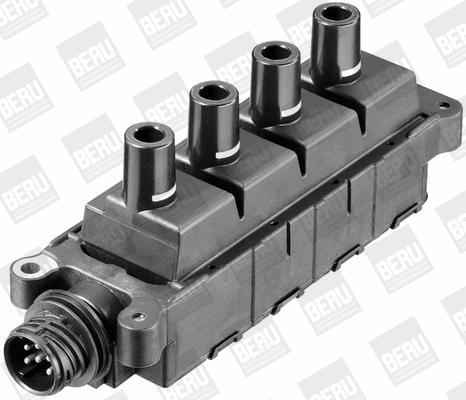 Ignition Coil (WG1487375)