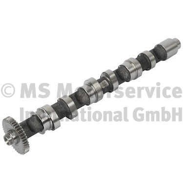 Camshaft (WG1924817)
