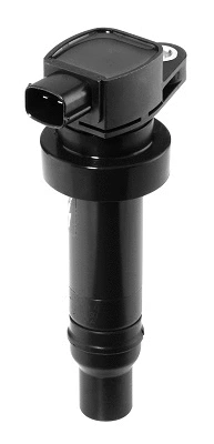 Ignition Coil (WG1487493)