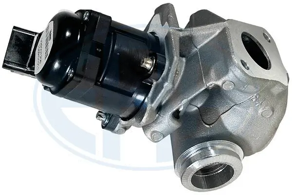 EGR Valve (WG1494551)