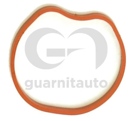 Gasket, intake manifold (WG2134745)