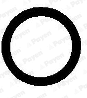 Gasket, exhaust pipe (WG1182122)