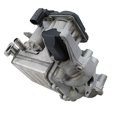 EGR Module (WG1941175)