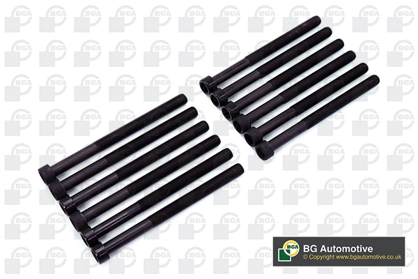 Cylinder Head Bolt Set (WG1490020)