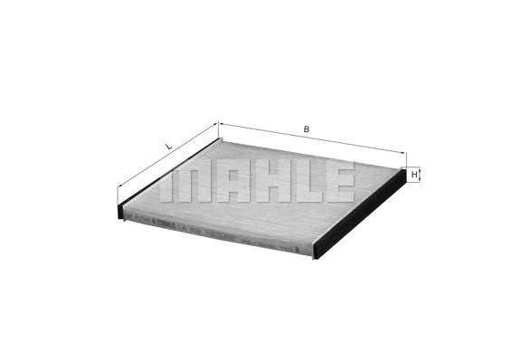 Filter, cabin air (WG1215244)