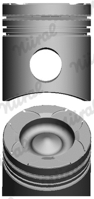 Piston (WG1175315)