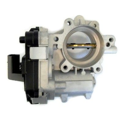 Throttle Body (WG1408788)