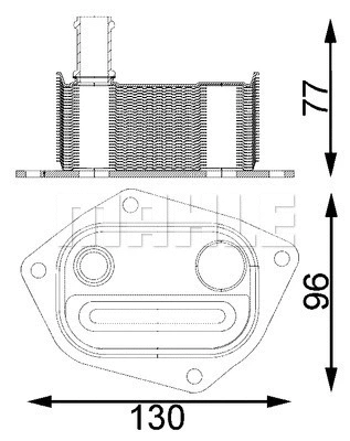 Oil Cooler, engine oil (WG2181146)