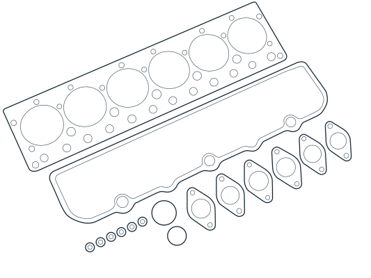 Gasket Kit, crankcase (WG2102506)