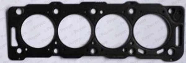 Gasket, cylinder head (WG1090870)