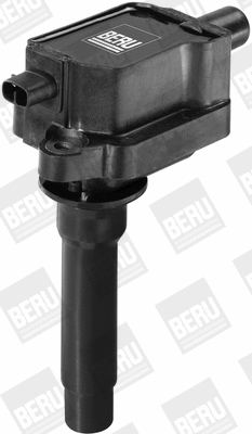 Ignition Coil (WG1487468)