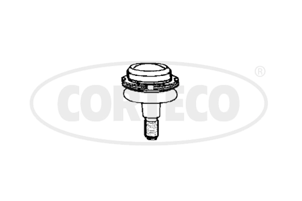 Ball Joint (WG2291891)