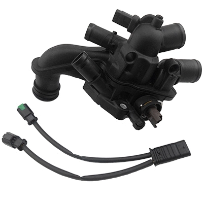 Thermostat, coolant (WG1900623)