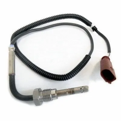 Sensor, exhaust gas temperature (WG1748763)