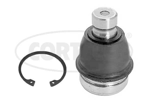 Ball Joint (WG2290144)