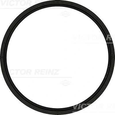 Shaft Seal, crankshaft (WG1250623)
