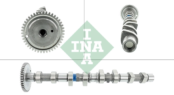 Camshaft (WG1780268)